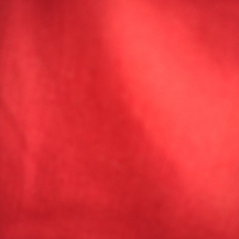 Zac & Rachel -Deep Coral Capri Pants with Lace Up Detail - Picture 4 of 5